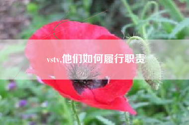 vstv,他们如何履行职责